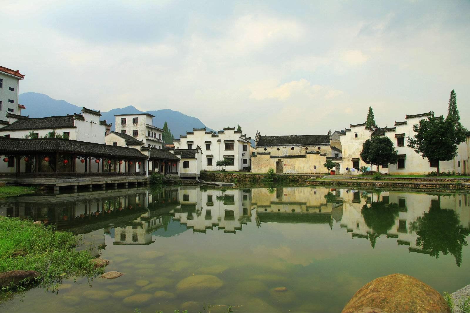 100天学霸养成